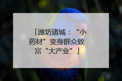 潍坊诸城：“小药材”变身群众致富“大产业”