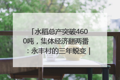 水稻总产突破4600吨，集体经济翻两番：永丰村的三年蜕变｜您牵挂的四川
