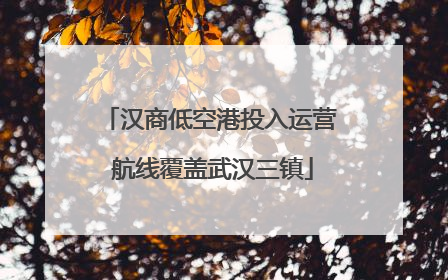 汉商低空港投入运营 航线覆盖武汉三镇