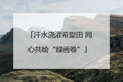 汗水浇灌希望田 同心共绘“绿画卷”