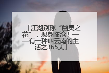 江湖别称“幽灵之花”，现身临沧！——有一种叫云南的生活之365天