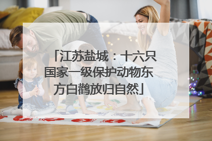江苏盐城：十六只国家一级保护动物东方白鹳放归自然
