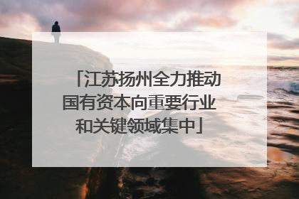 江苏扬州全力推动国有资本向重要行业和关键领域集中