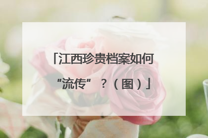 江西珍贵档案如何“流传”？（图）