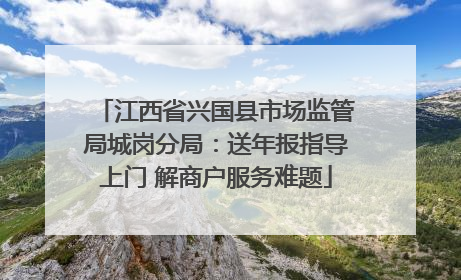 江西省兴国县市场监管局城岗分局：送年报指导上门 解商户服务难题