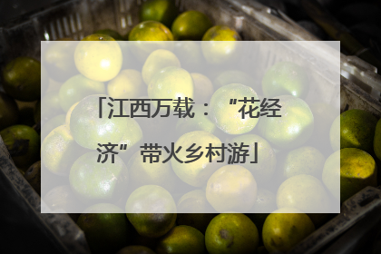 江西万载：“花经济”带火乡村游