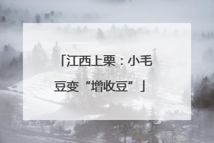 江西上栗：小毛豆变“增收豆”