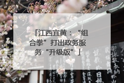 江西宜黄：“组合拳”打出政务服务“升级版”