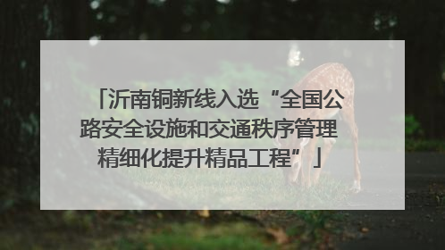 沂南铜新线入选“全国公路安全设施和交通秩序管理精细化提升精品工程”