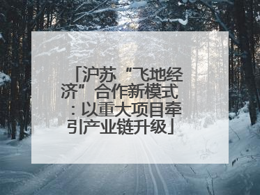 沪苏“飞地经济”合作新模式：以重大项目牵引产业链升级