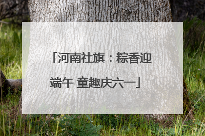 河南社旗：粽香迎端午 童趣庆六一