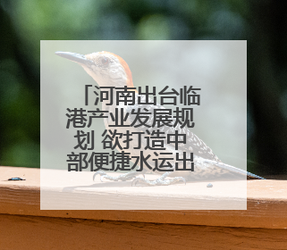 河南出台临港产业发展规划 欲打造中部便捷水运出海通道