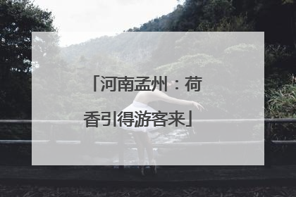 河南孟州：荷香引得游客来