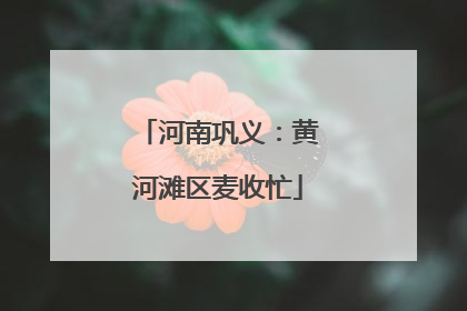 河南巩义：黄河滩区麦收忙