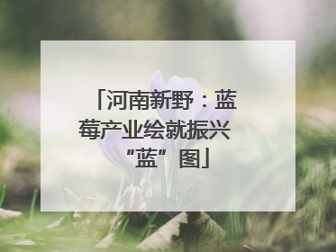 河南新野：蓝莓产业绘就振兴“蓝”图