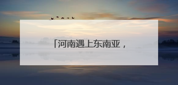 河南遇上东南亚，不止榴莲和奶茶