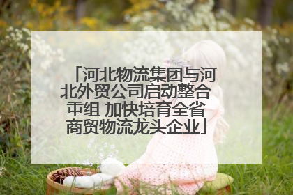 河北物流集团与河北外贸公司启动整合重组 加快培育全省商贸物流龙头企业