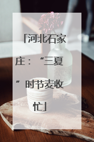 河北石家庄：“三夏”时节麦收忙