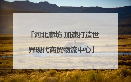 河北廊坊 加速打造世界现代商贸物流中心