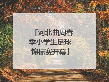 河北曲周春季小学生足球锦标赛开幕