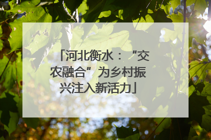 河北衡水：“交农融合”为乡村振兴注入新活力