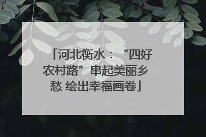 河北衡水：“四好农村路”串起美丽乡愁 绘出幸福画卷