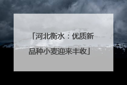 河北衡水：优质新品种小麦迎来丰收