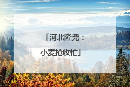 河北隆尧：小麦抢收忙