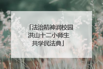 法治精神润校园 洪山十二小师生共学民法典