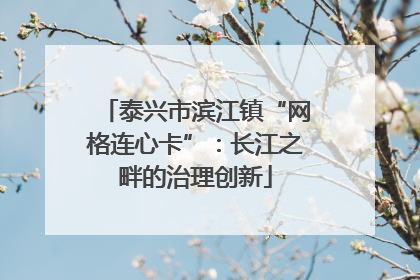 泰兴市滨江镇“网格连心卡”：长江之畔的治理创新