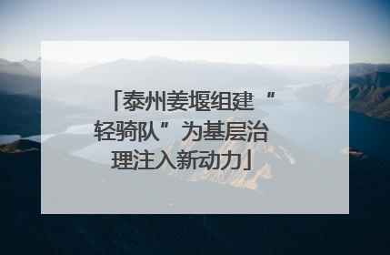 泰州姜堰组建“轻骑队”为基层治理注入新动力