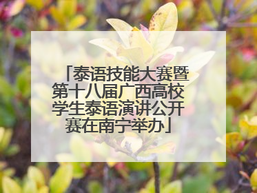 泰语技能大赛暨第十八届广西高校学生泰语演讲公开赛在南宁举办