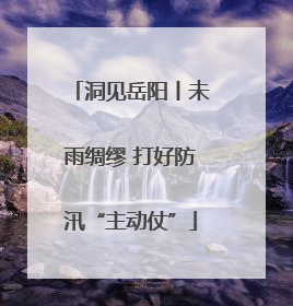 洞见岳阳丨未雨绸缪 打好防汛“主动仗”