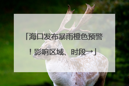 海口发布暴雨橙色预警！影响区域、时段→