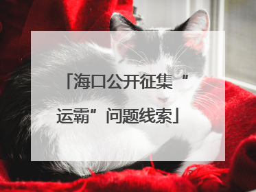 海口公开征集“运霸”问题线索