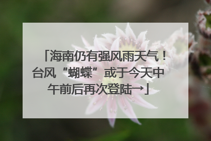 海南仍有强风雨天气！台风“蝴蝶”或于今天中午前后再次登陆→