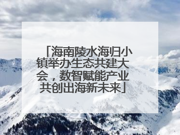 海南陵水海归小镇举办生态共建大会，数智赋能产业共创出海新未来