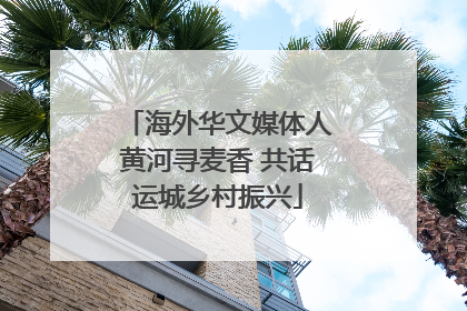 海外华文媒体人黄河寻麦香 共话运城乡村振兴