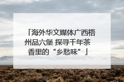 海外华文媒体广西梧州品六堡 探寻千年茶香里的“乡愁味”