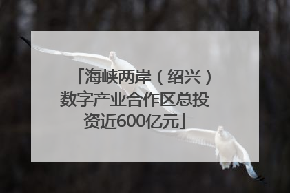 海峡两岸（绍兴）数字产业合作区总投资近600亿元