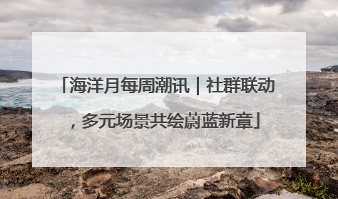 海洋月每周潮讯｜社群联动，多元场景共绘蔚蓝新章