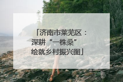 济南市莱芜区：深耕“一株桑” 绘就乡村振兴图
