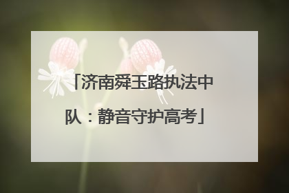 济南舜玉路执法中队：静音守护高考