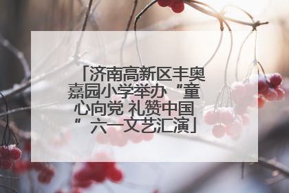 济南高新区丰奥嘉园小学举办“童心向党 礼赞中国”六一文艺汇演