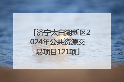 济宁太白湖新区2024年公共资源交易项目121项