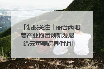浙报关注丨丽台两地姜产业抱团创新发展 缙云黄姜跨界俏销