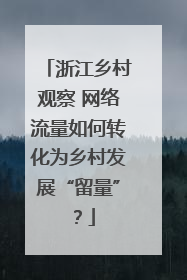 浙江乡村观察 网络流量如何转化为乡村发展“留量”？