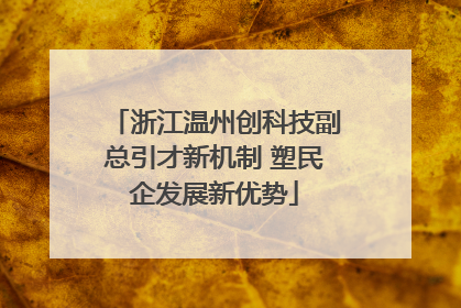 浙江温州创科技副总引才新机制 塑民企发展新优势