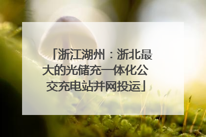 浙江湖州：浙北最大的光储充一体化公交充电站并网投运
