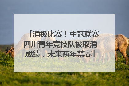消极比赛！中冠联赛四川青年竞技队被取消成绩，未来两年禁赛